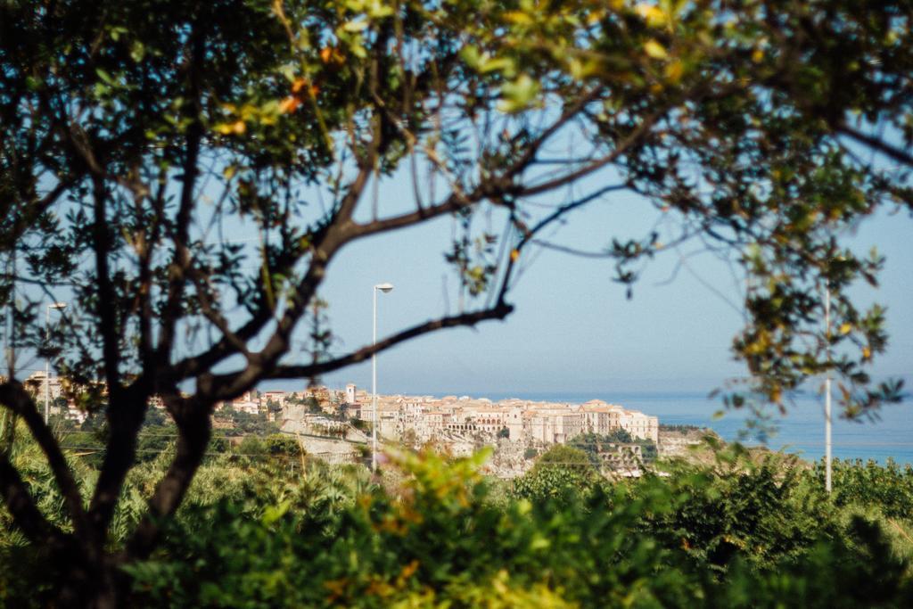 Villino Eleonora Bed & Breakfast ปาร์เกลียา ภายนอก รูปภาพ