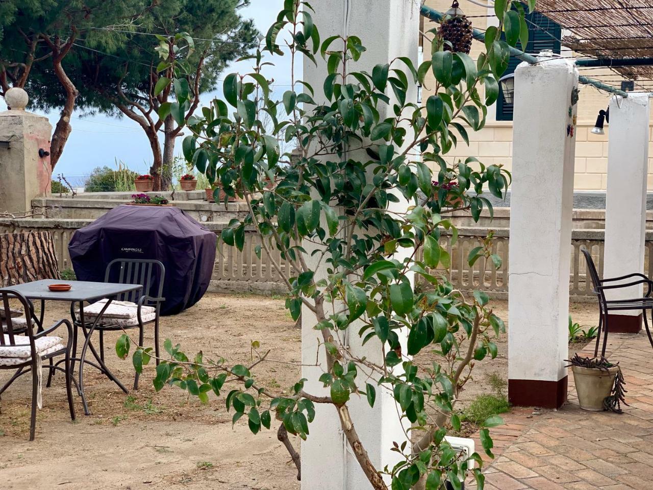 Villino Eleonora Bed & Breakfast ปาร์เกลียา ภายนอก รูปภาพ
